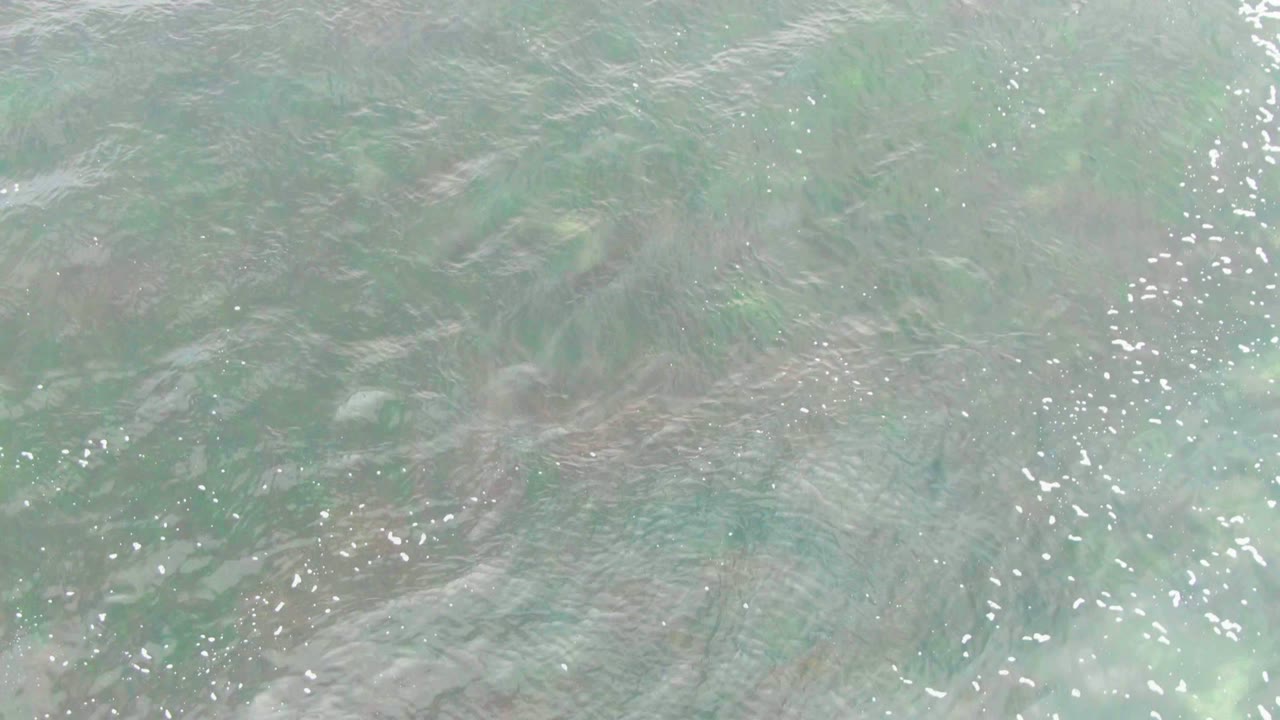 A shallow ocean surface at La Bocana carries bright white glints over green underwater vegetation and muted blue-gray water, with no visible people.