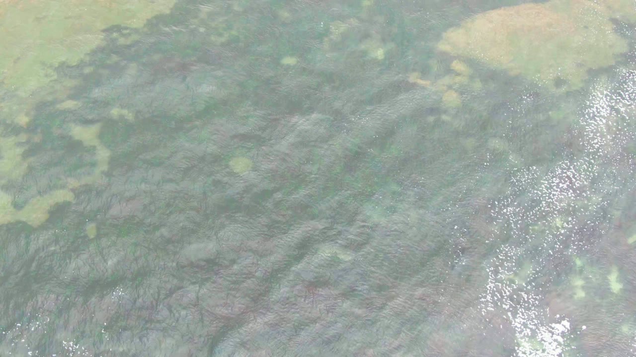 Top-down view of rippled green-gray water in La Bocana, Baja California Sur, with pale submerged patches, darker vegetation textures, and no visible people.