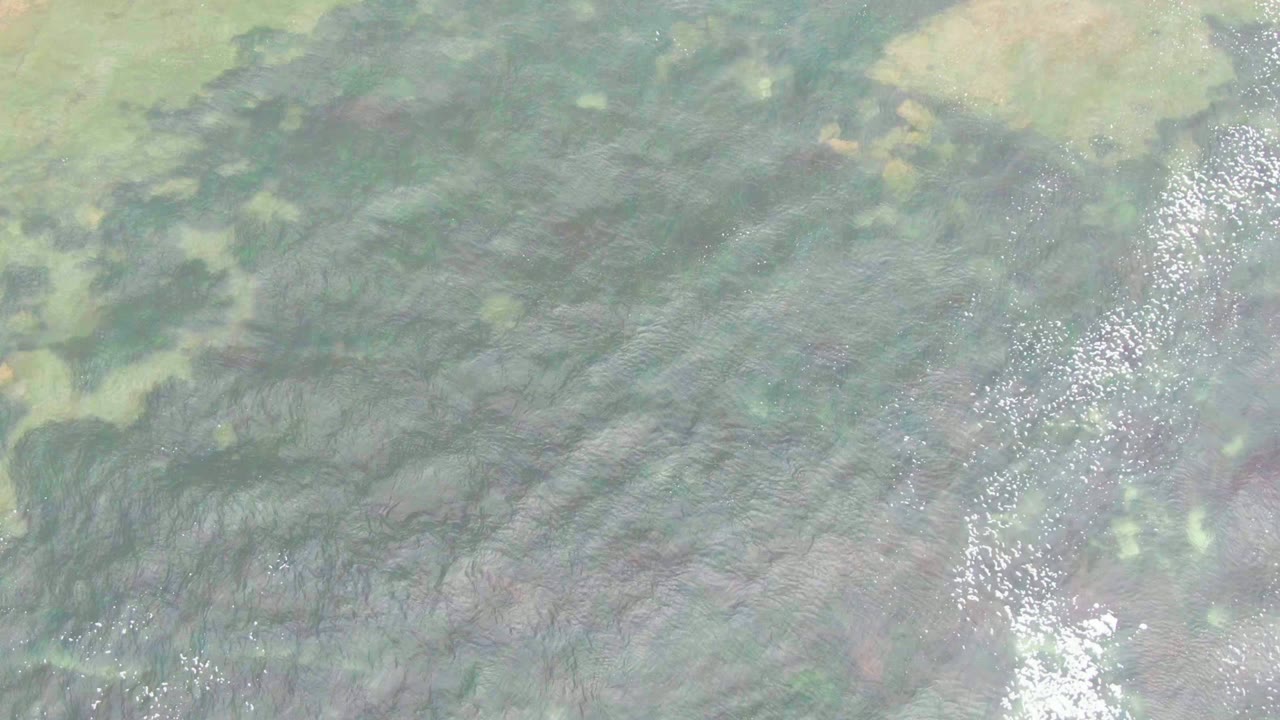 Shallow rippled water with bright reflection streaks and green patches.
