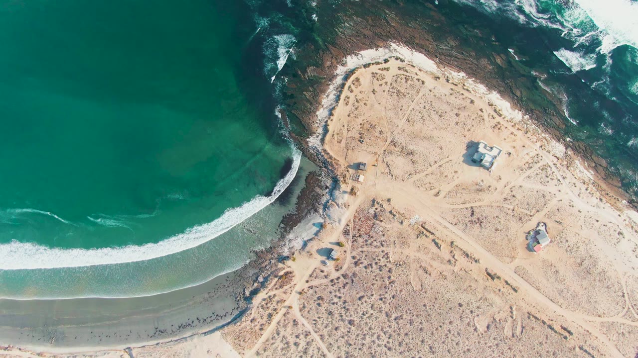 White surf curves along wet sand beside dry scrub-covered beach.