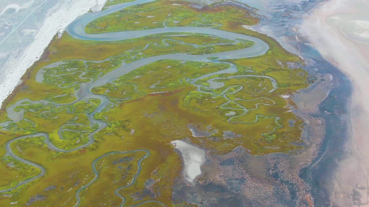 High aerial view over Punta Abreojos wetland showing looping blue waterways through green marsh, pale flats at the edges, darker wet ground, and no visible people.