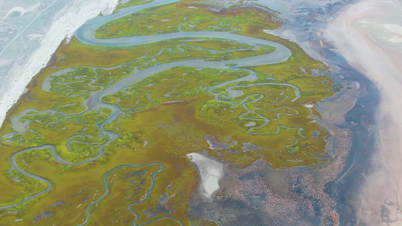 Overhead view of the Punta Abreojos wetland with a broad curving blue channel near the top, smaller channels through green marsh, pale flats along the side, and no visible people.