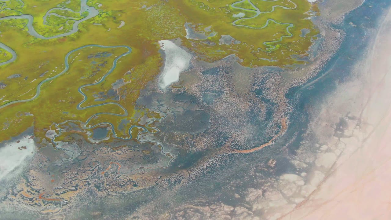 Overhead wetland terrain with looping blue channels, white ice patches, and pale coastal flats.