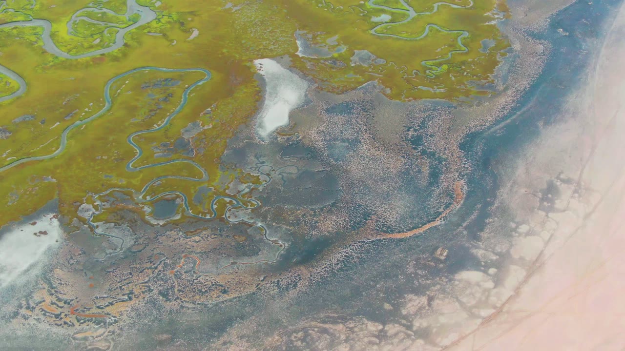 Aerial wetland with sinuous channels, white patches, dark water, and a pale right edge.