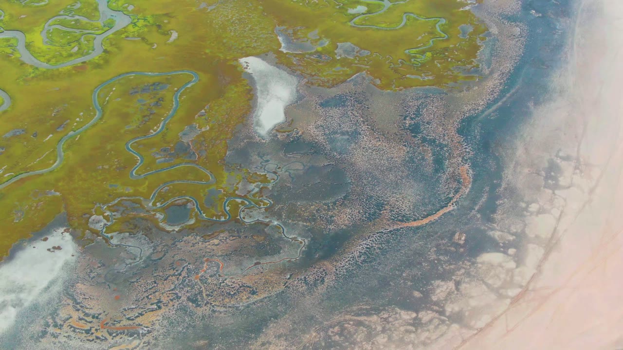 Overhead wetland channels crossing green and brown terrain beside pale coastal flats.