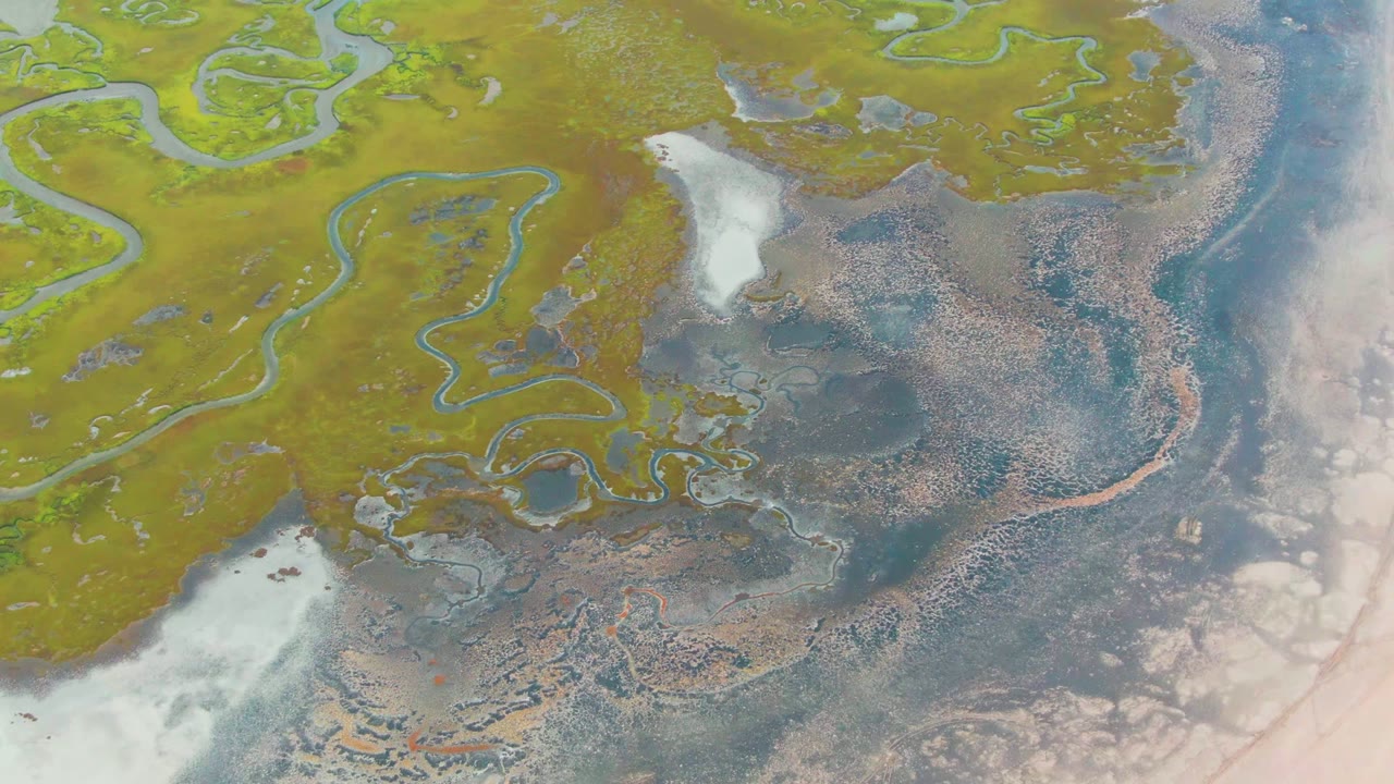Overhead view of Punta Abreojos wetland channels curving through green vegetation beside pale flats and rippled water, with no visible people.