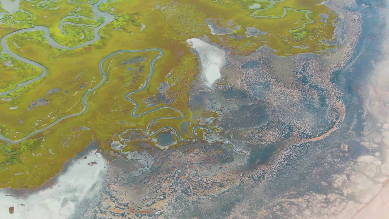 High aerial view of Punta Abreojos with looping wetland waterways across green vegetation, exposed pale flats, textured water, and no visible people.