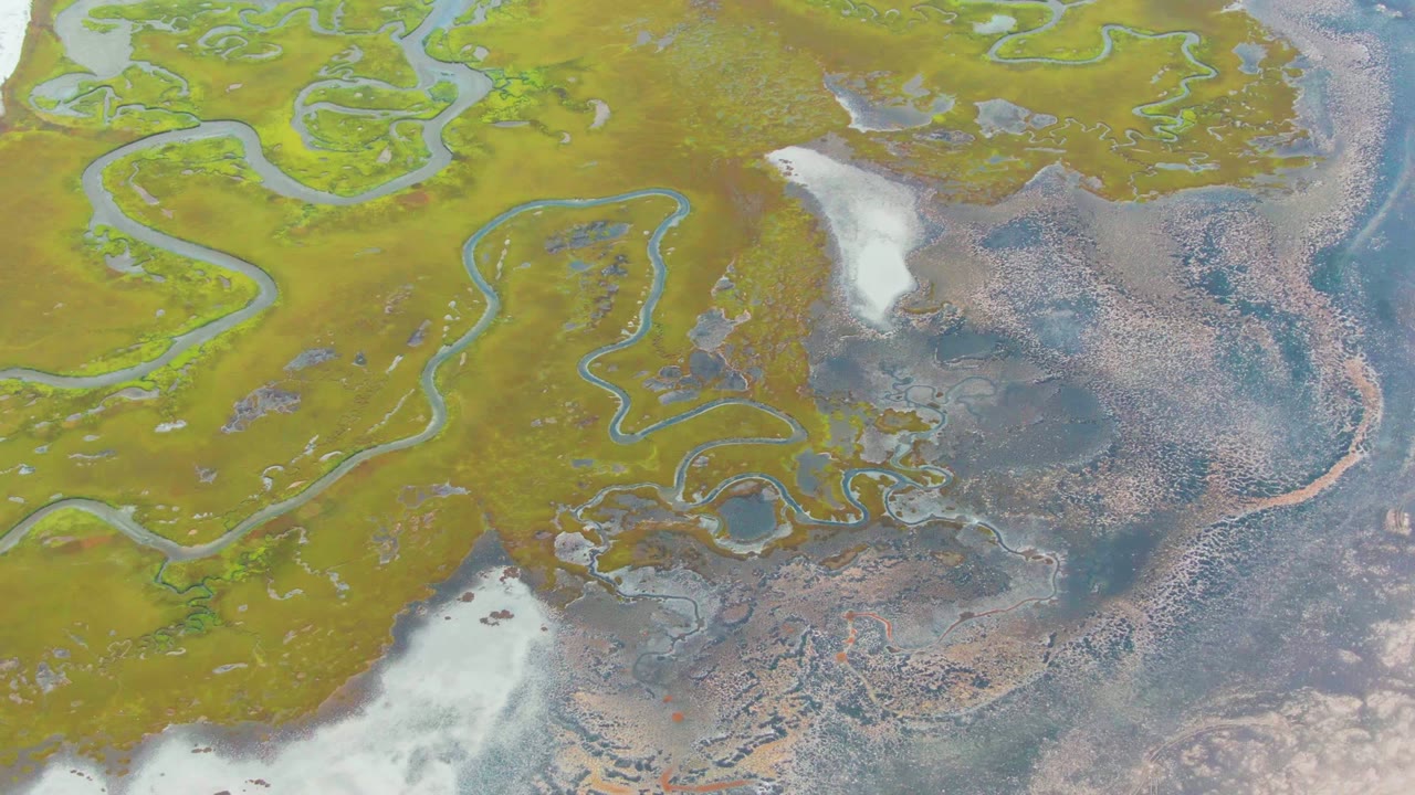 High overhead view of winding channels crossing green and brown wetland terrain in Punta Abreojos, Baja California Sur, with pale patches near the water and no visible people.