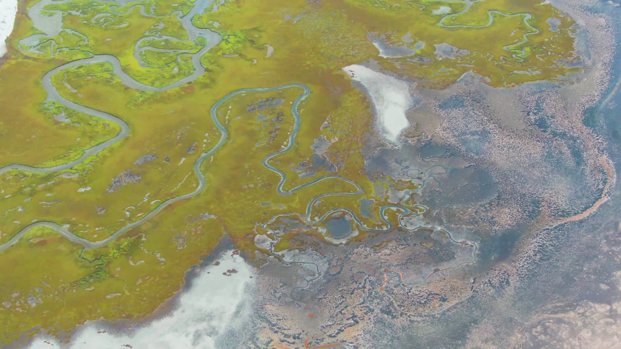 Curving water channels and pale patches in coastal wetland