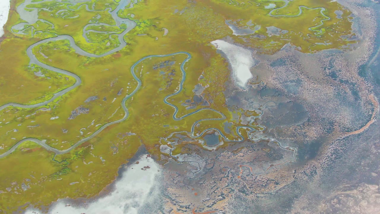 Overhead Punta Abreojos wetland view with winding channels at left, mottled shallow water at right, green-brown terrain, and no visible people.