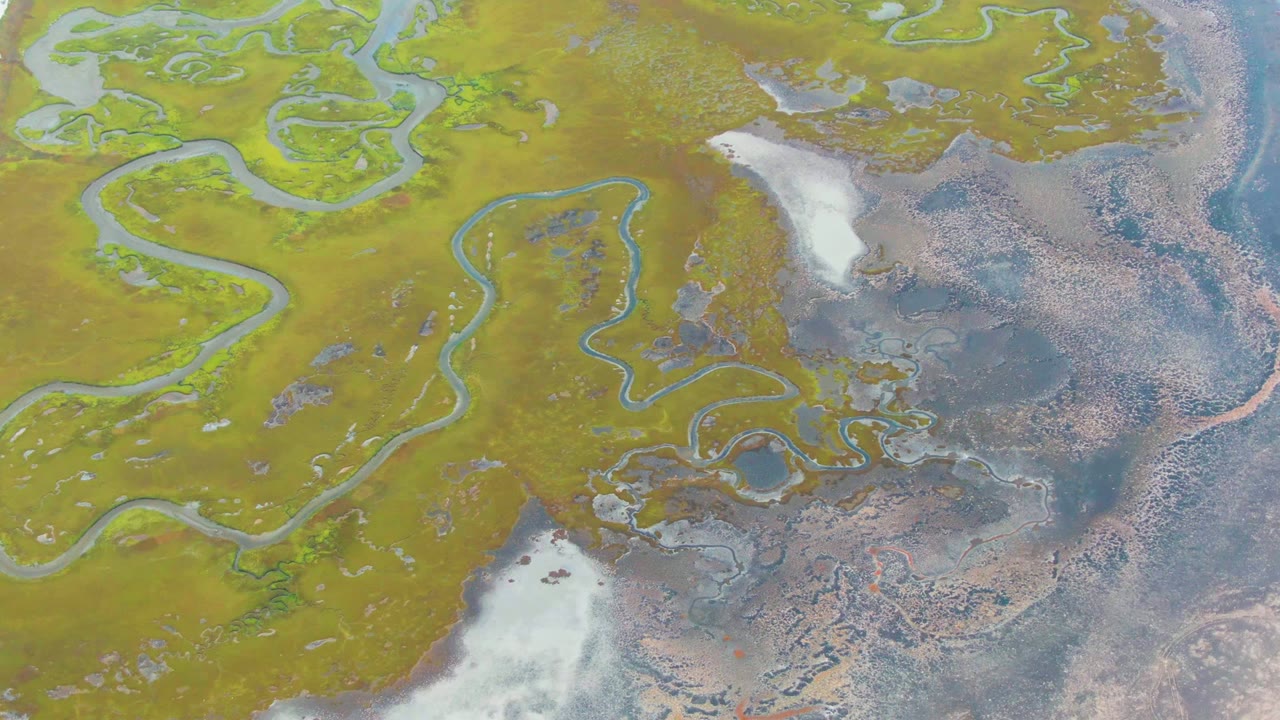 Meandering river channels across green and brown wetland terrain