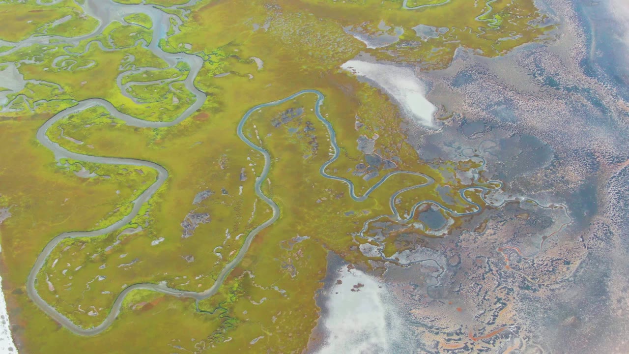 Overhead view of meandering wetland channels at Punta Abreojos, Baja California Sur, with green vegetation, brown flats, pale shoreline patches, and no visible people.
