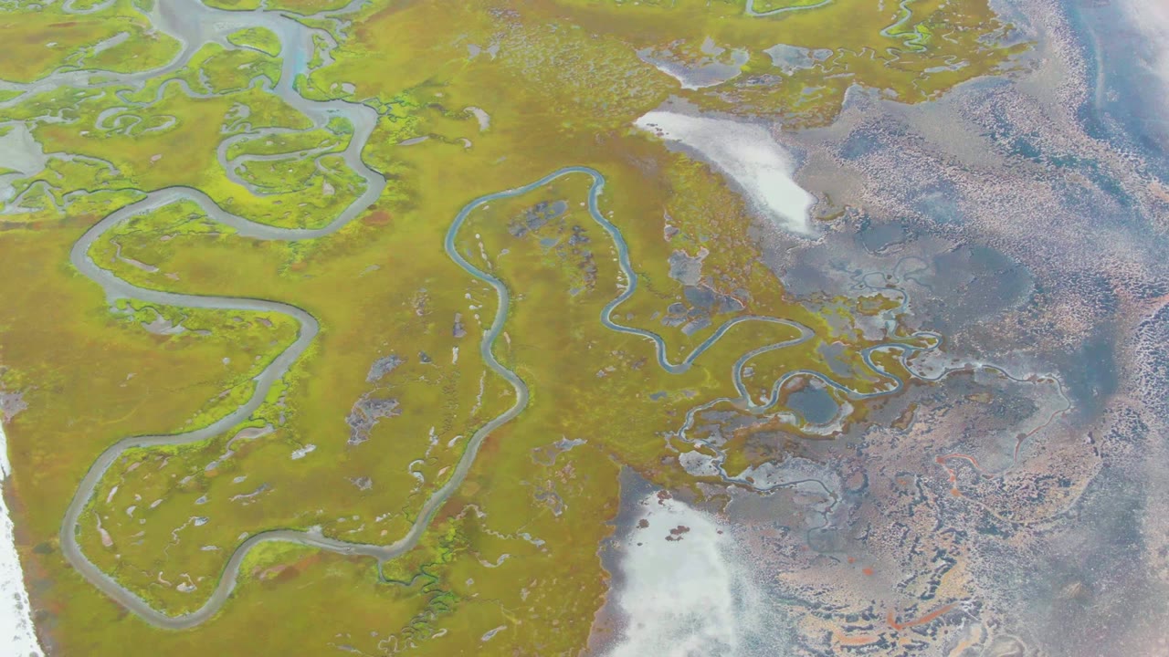 Curving water channels and tidal flats seen from directly overhead.
