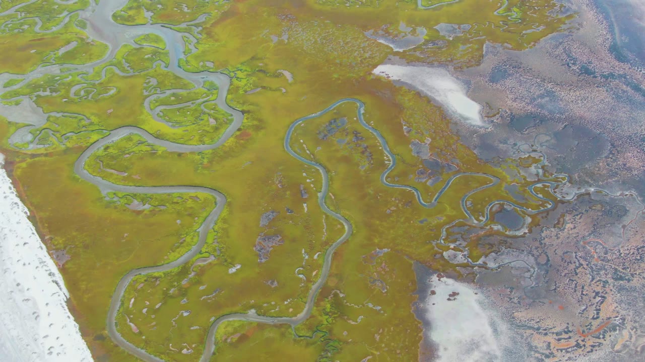Overhead view of Punta Abreojos wetland terrain with winding water channels through green vegetation, pale edge patches, darker wet ground, and no visible people.