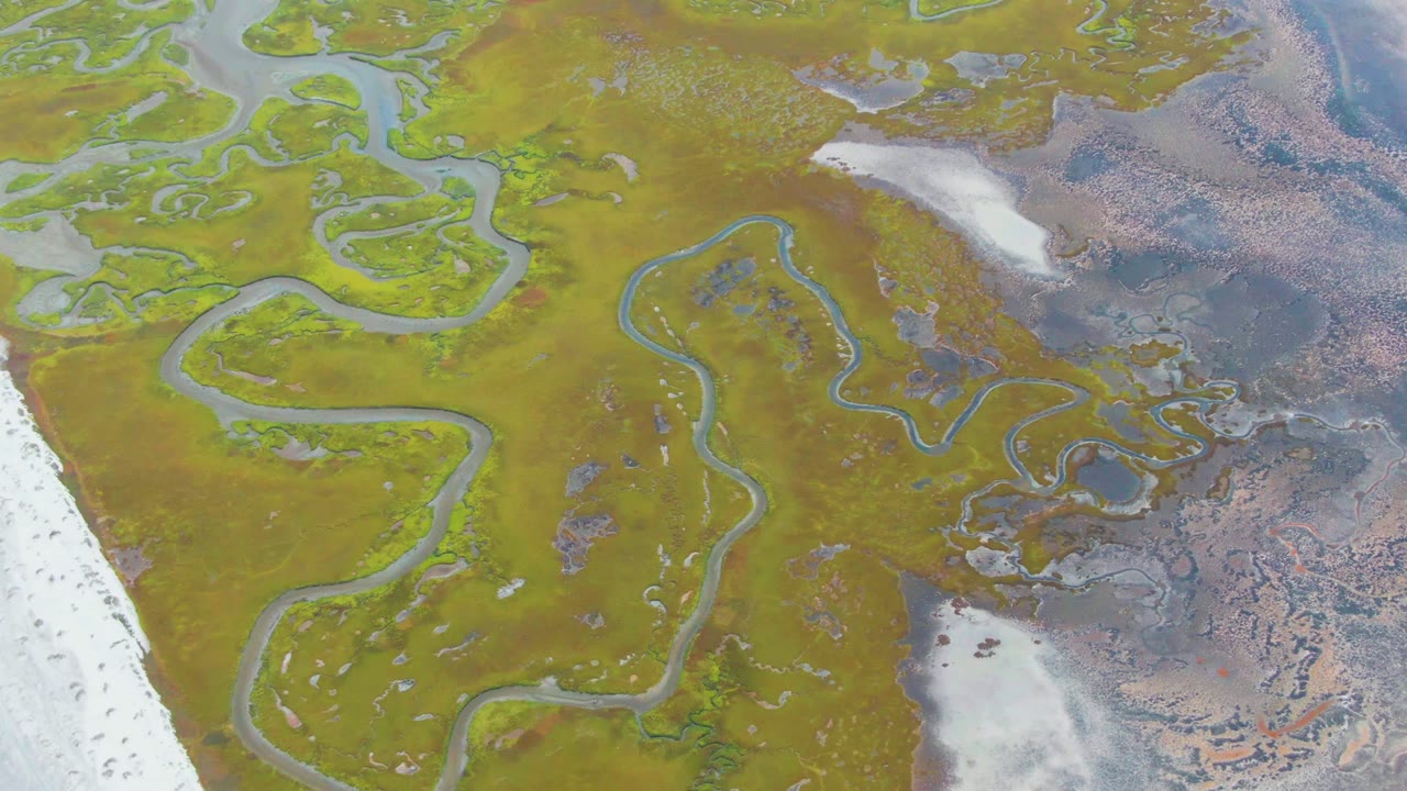 Aerial marshland with serpentine channels and green ground cover.