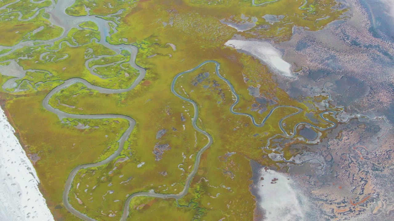 Top-down Punta Abreojos wetland view with branching water channels, mottled green and brown terrain, a pale border area, and no visible people.