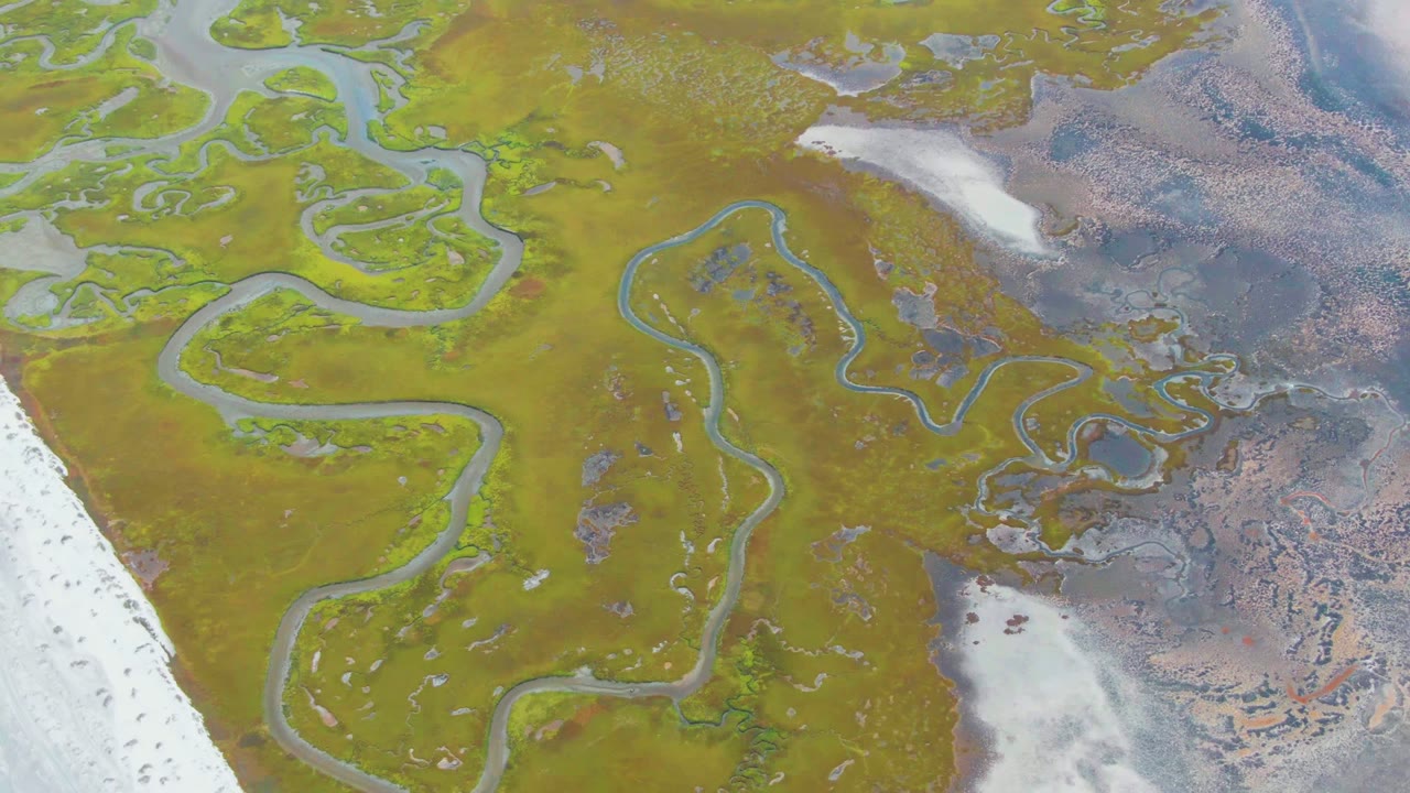 Overhead view of Punta Abreojos wetland where narrow winding streams cross green marsh beside white snow or ice, with no visible people.