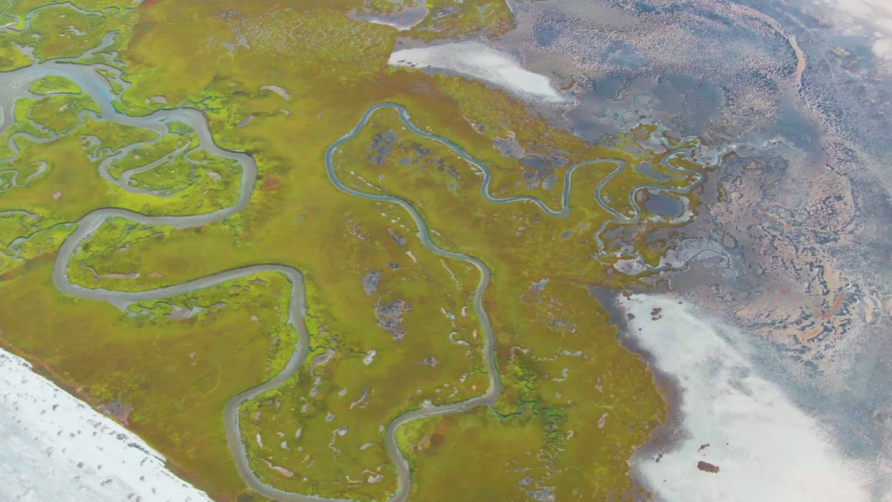 Overhead frame from Punta Abreojos, Baja California Sur, Mexico showing winding water channels through green wetland vegetation with pale snow or ice at the lower edge and no visible people.