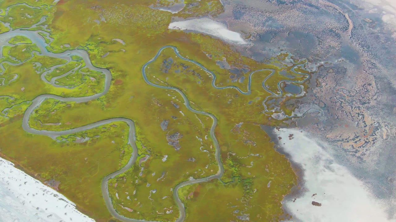 Meandering water channels across green marsh with pale ice along the bottom