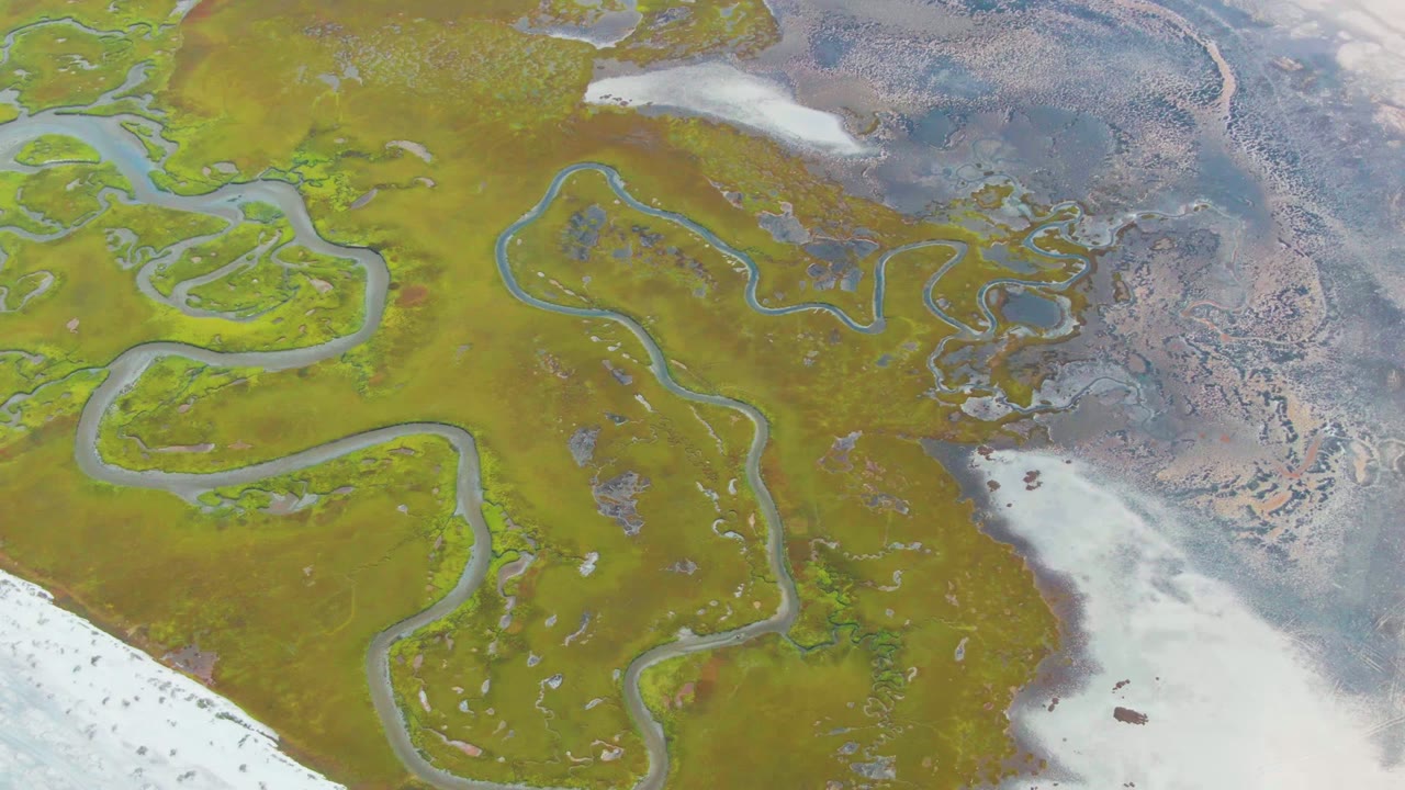 High overhead frame from Punta Abreojos, Baja California Sur, Mexico showing looping wetland streams, bright green vegetation at upper left, pale ice or snow below, and no visible people.