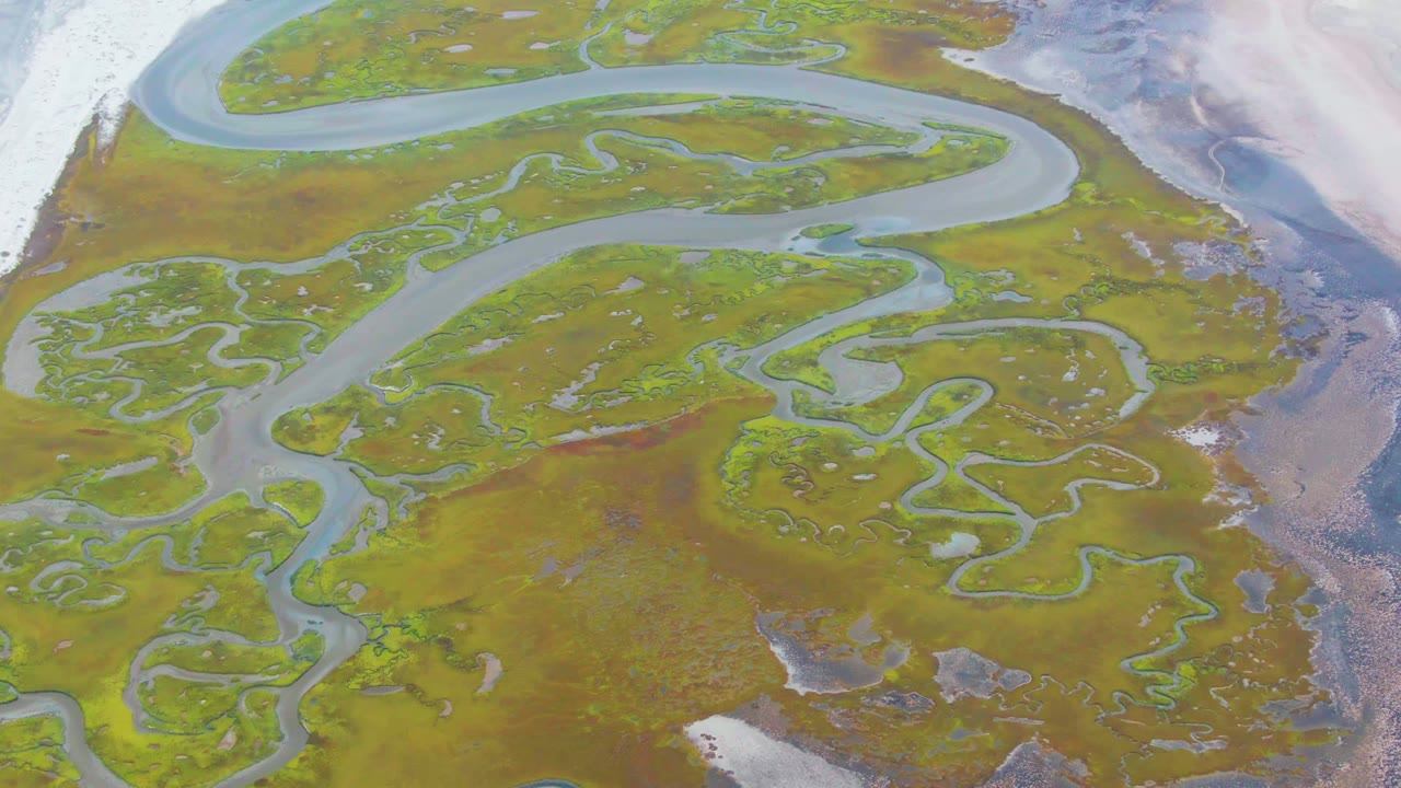 High overhead frame from Punta Abreojos, Baja California Sur, with serpentine waterways crossing green and ocher wetland vegetation, pale snow or ice along the left border, and no visible people.