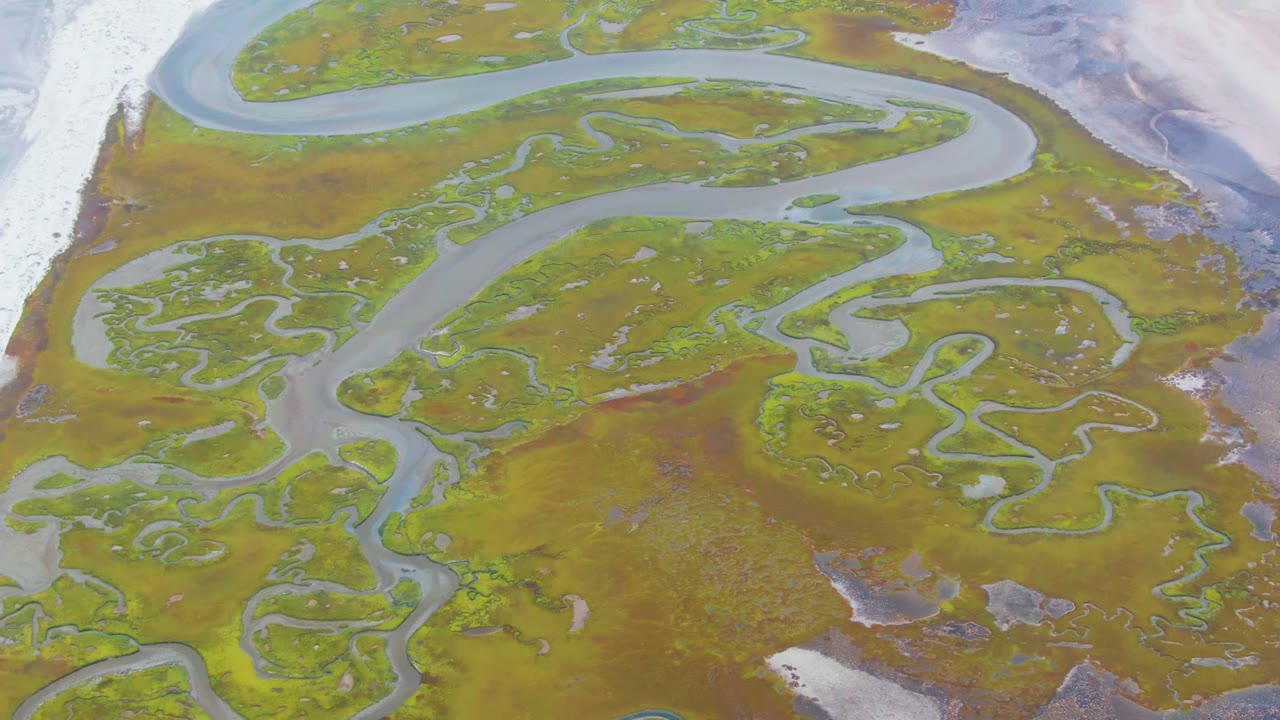 Overhead frame from Punta Abreojos, Baja California Sur showing a broad pale river bend, smaller wetland channels, green brown vegetation, a white strip at left, and no visible people.