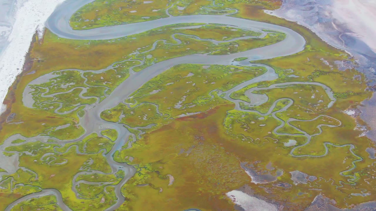 Aerial view of braided wetland channels across green and brown ground.