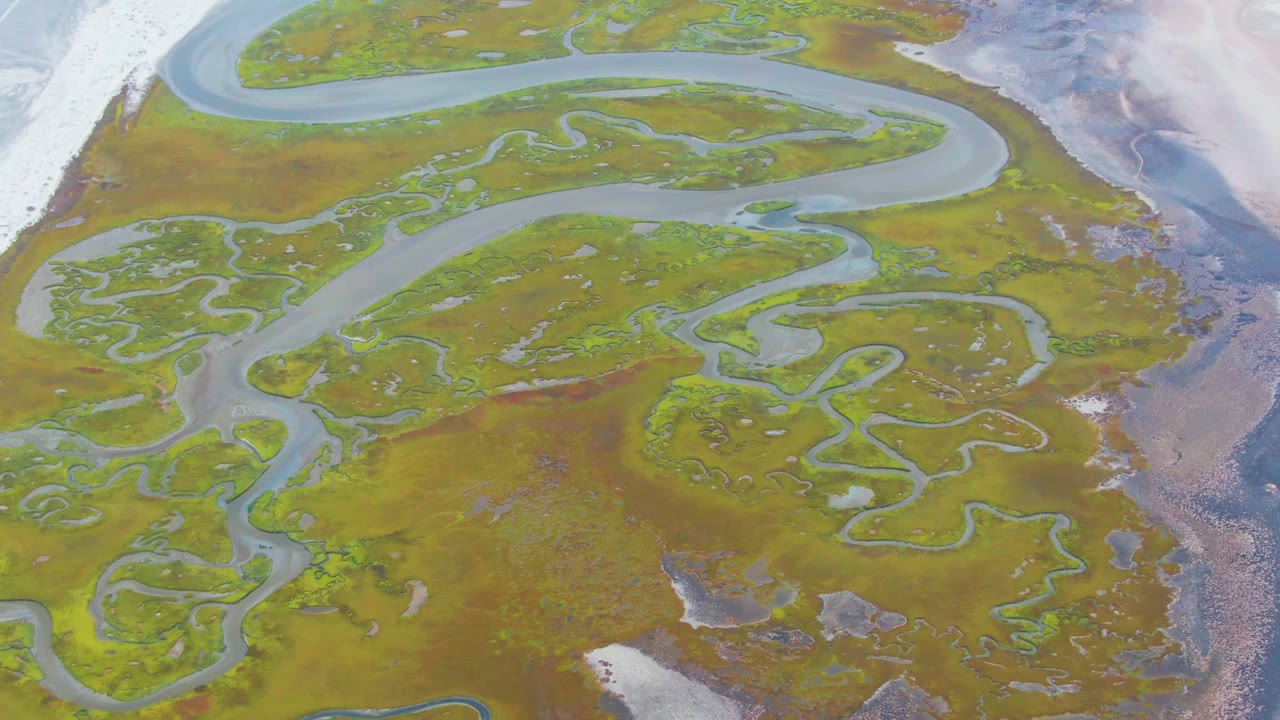Aerial frame from Punta Abreojos, Baja California Sur showing branching pale blue river channels across green and brown marsh, with no visible people.