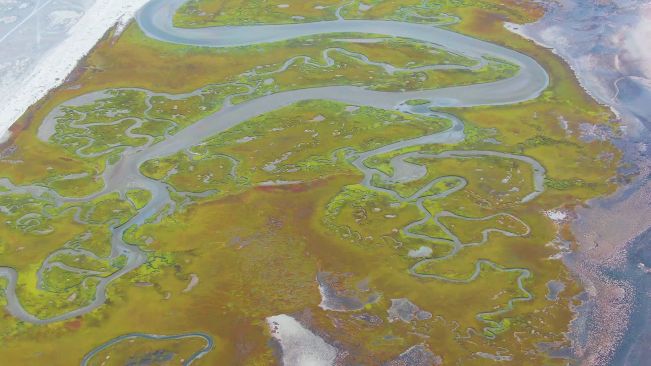High overhead view of a Punta Abreojos wetland with branching water channels, green and rust marsh vegetation, shallow coastal water at the right edge, and no visible people.