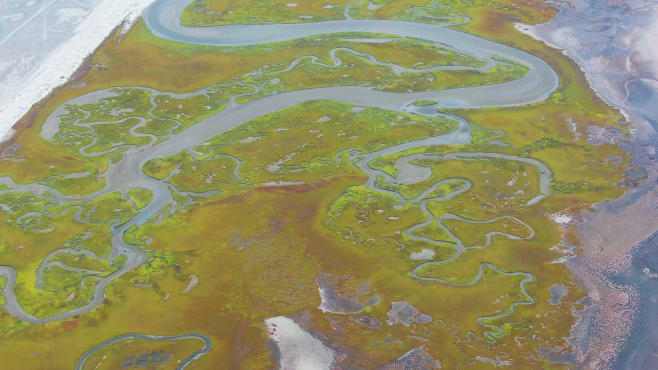 Aerial marsh channels crossing green and brown wetland flats