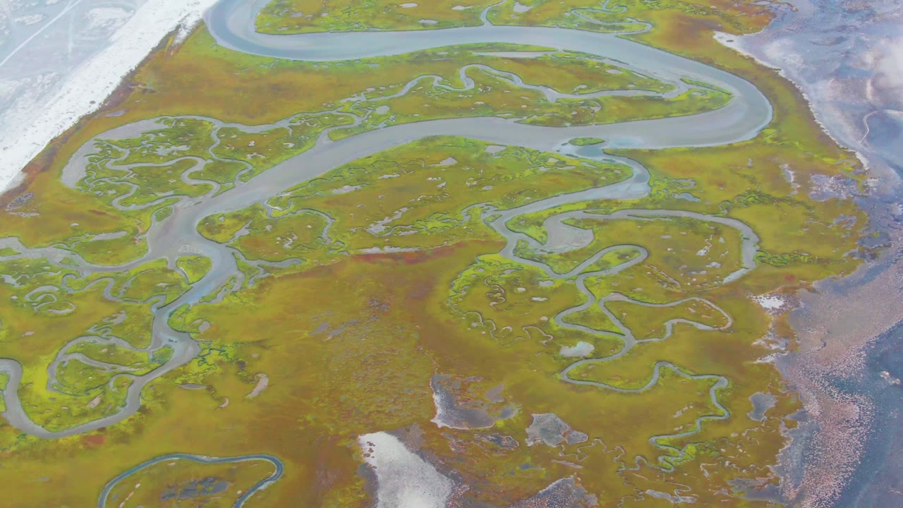 Overhead Punta Abreojos wetland frame with looping channels through green marsh, rust-toned flats, pale exposed edges, coastal water along the right side, and no visible people.