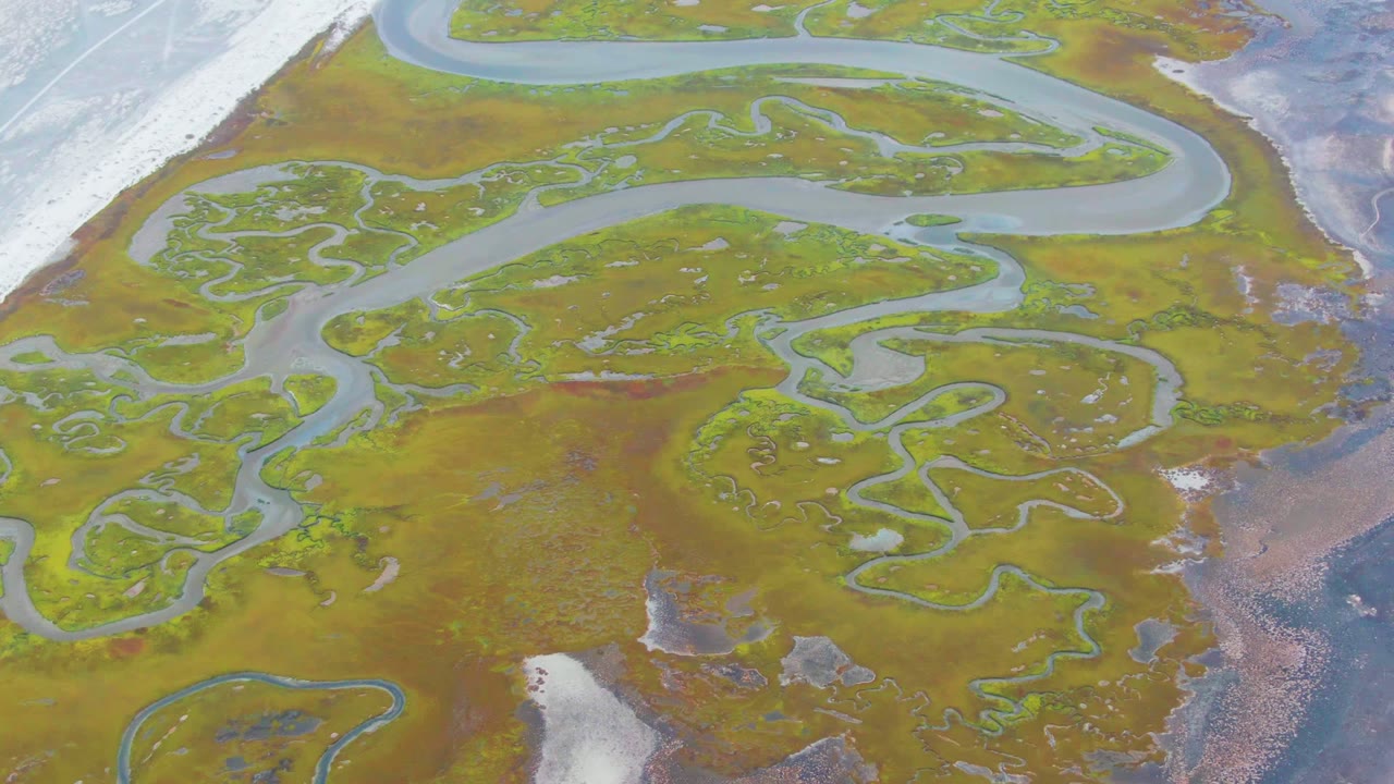 Overhead view of a Punta Abreojos wetland where pale blue channels curve through green and brown vegetation, with no visible people.