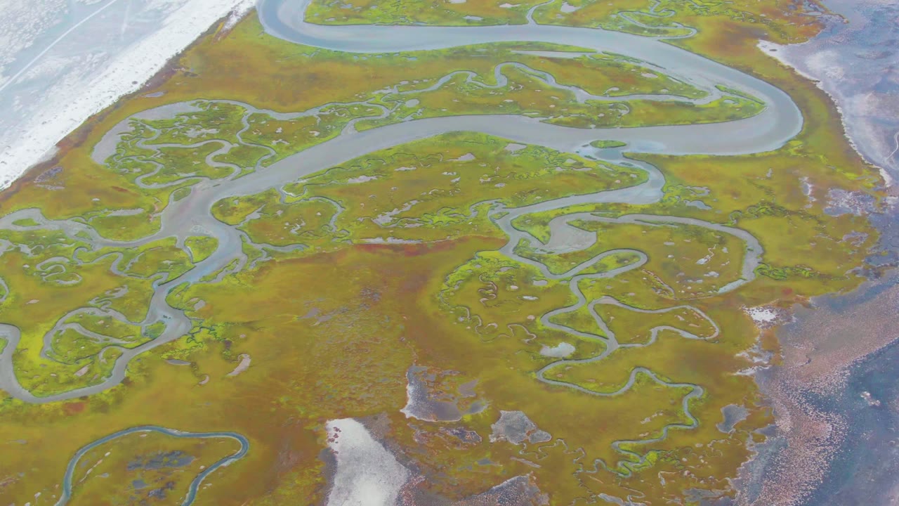 High overhead view in Punta Abreojos with sinuous pale channels crossing green marsh, darker wet terrain along the right edge, and no visible people.