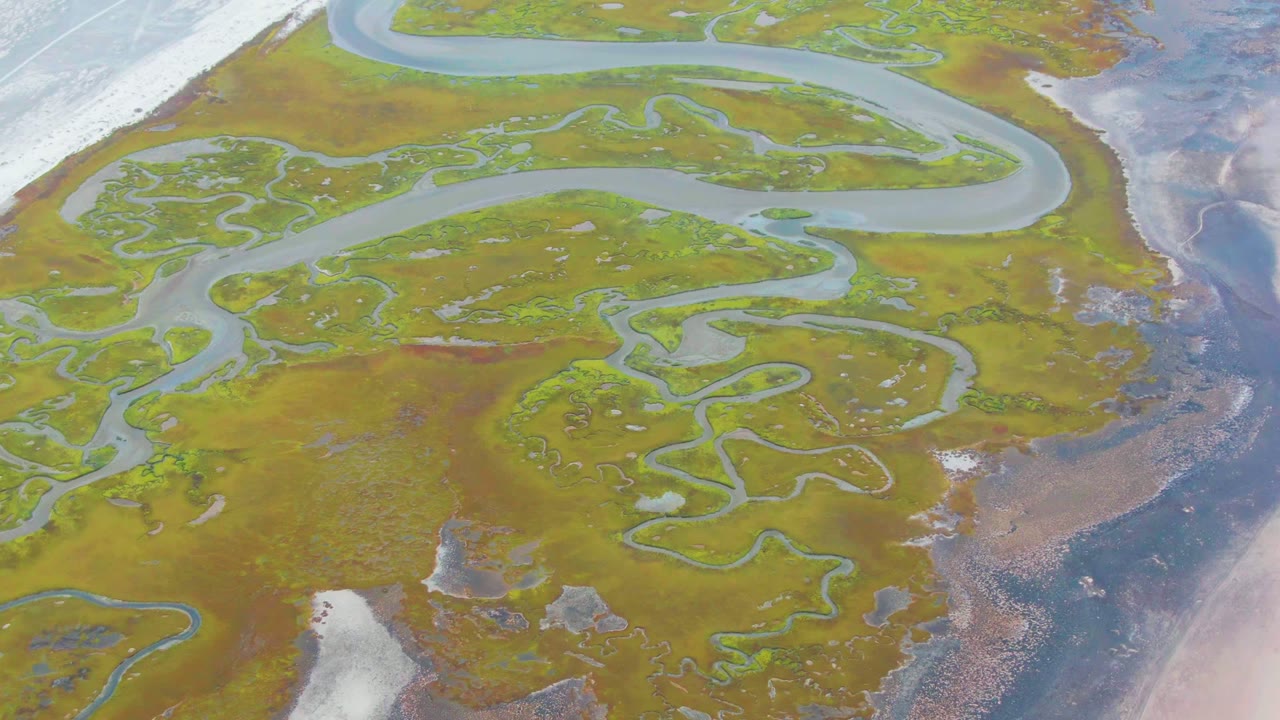 Overhead view of meandering channels crossing mossy green and brown wetland terrain.