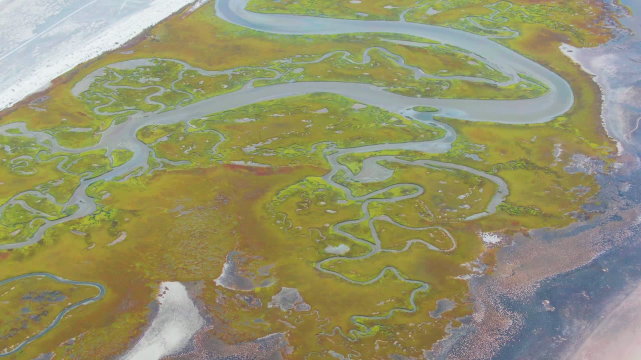 Opening frame over a Punta Abreojos wetland in Baja California Sur, with pale water channels winding through green and brown marsh and no visible people.