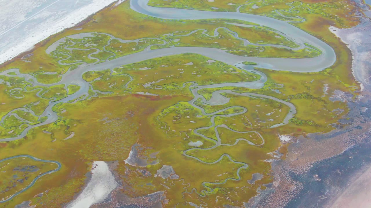 Top-down marsh view with a broad curving waterway and smaller channels.