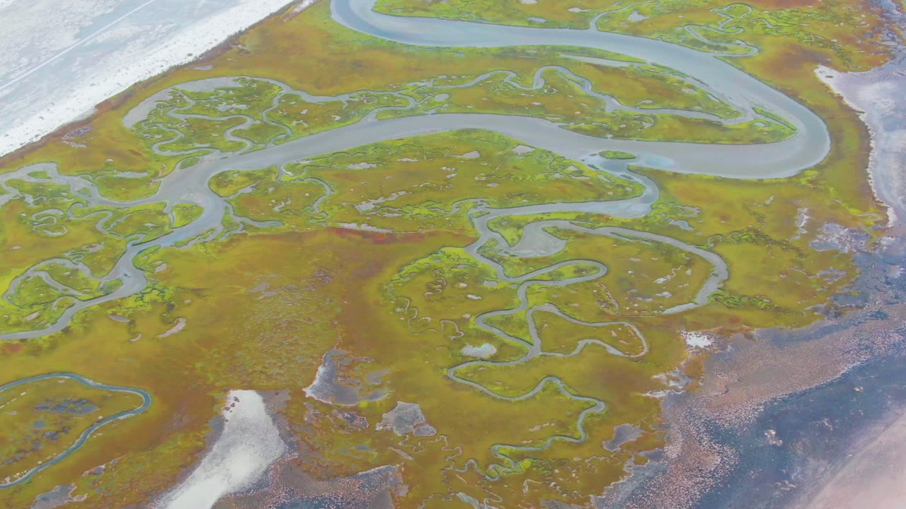 Drone-like overhead frame at Punta Abreojos with interlaced water channels across green marsh, sandy pale areas at the upper left, darker water at the lower right, and no visible people.