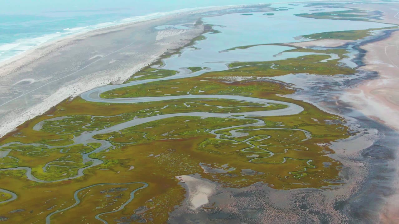Green wetland with branching water channels next to pale sand and blue coastal water.