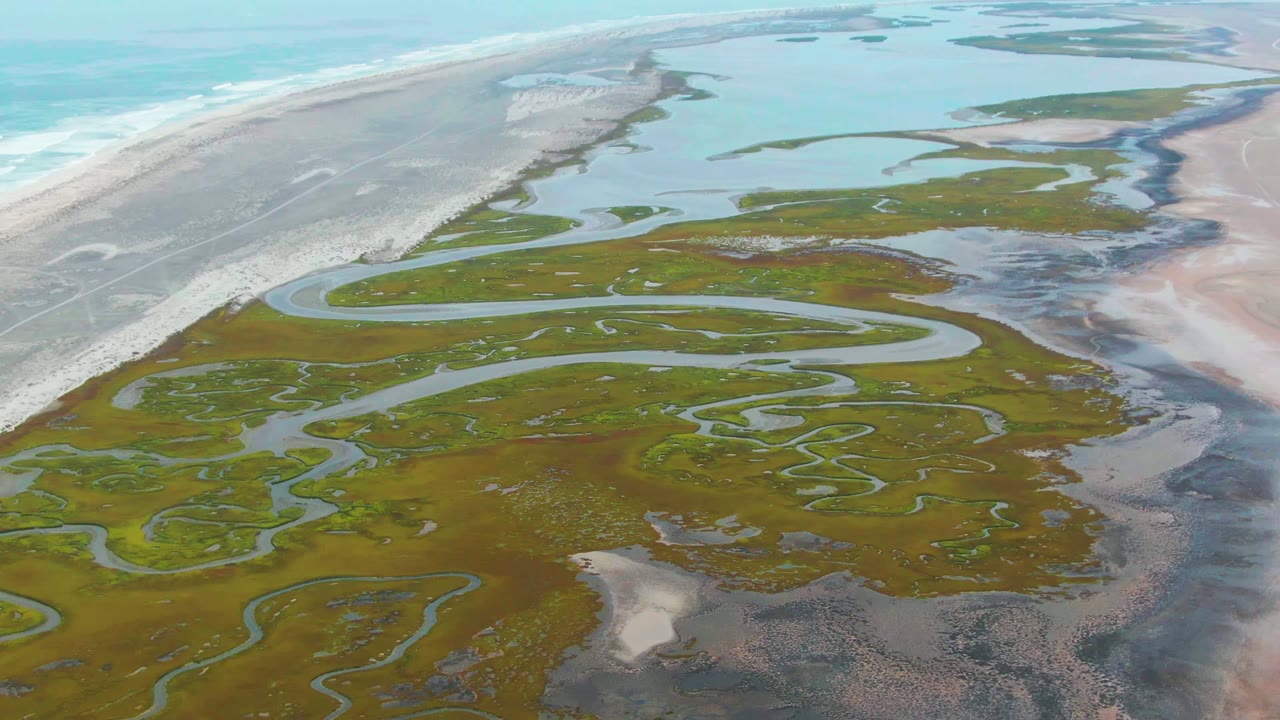Elevated view of Punta Abreojos coastal marsh where curved channels cross green ground toward a pale beach, surf, distant shallow water, and no visible people.