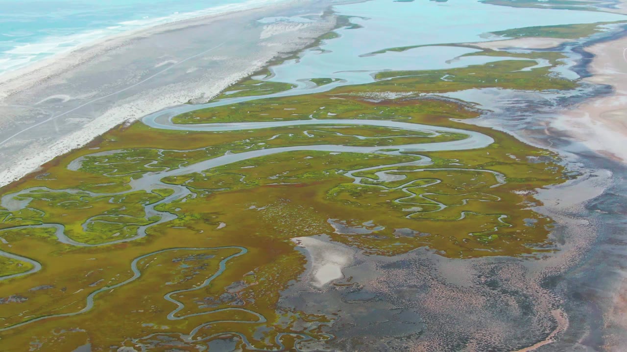 Aerial frame over Punta Abreojos marshland in Baja California Sur, with green vegetation, looping tidal channels, pale beach, turquoise ocean, and no visible people.
