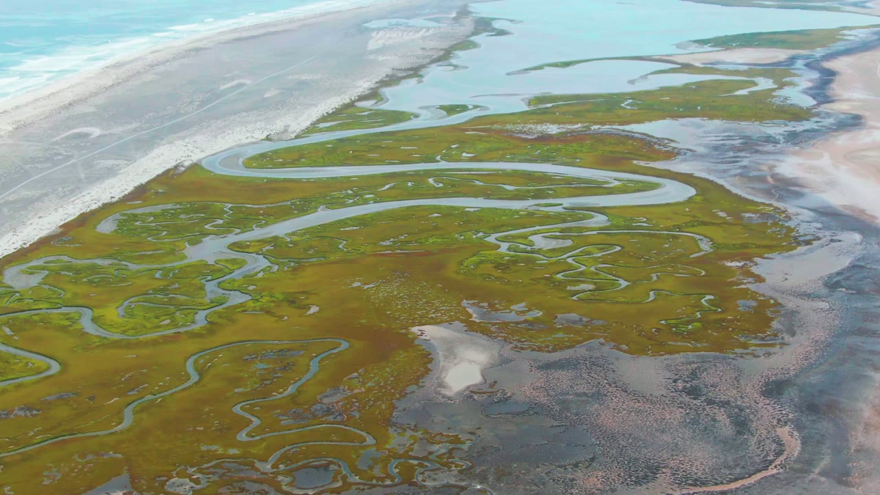 High aerial view of tidal marsh channels crossing green and brown wetland near the beach.