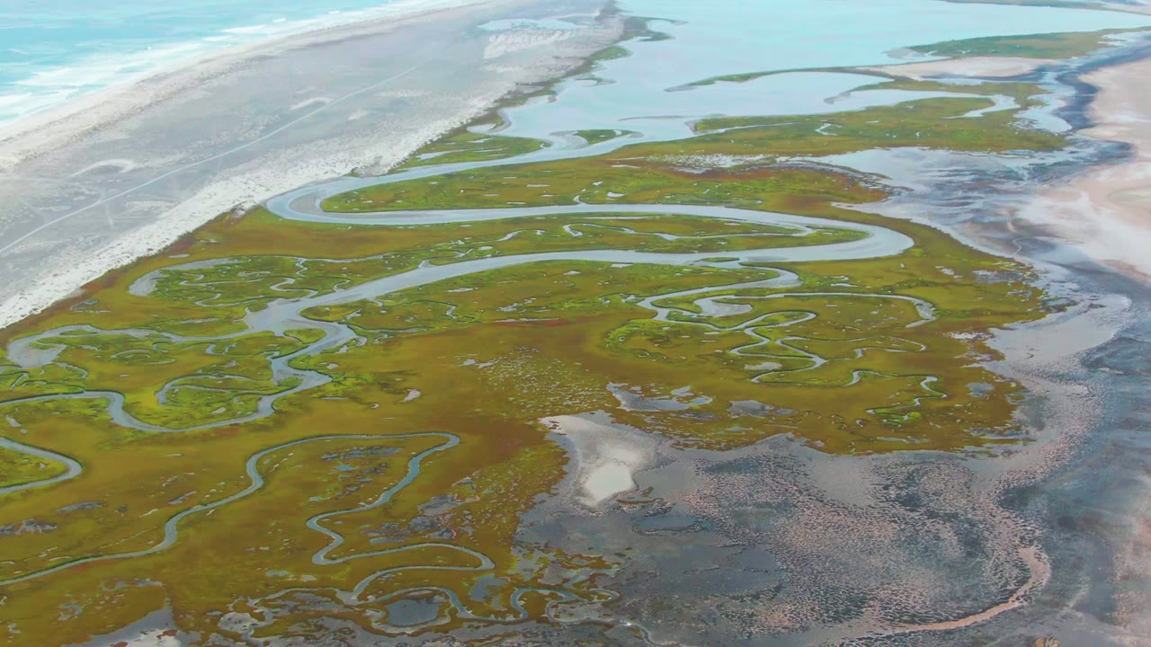 Aerial view of the Punta Abreojos coastal marsh with looping blue channels in green vegetation, darker mudflat areas at right, sandy beach above, ocean beyond, and no visible people.