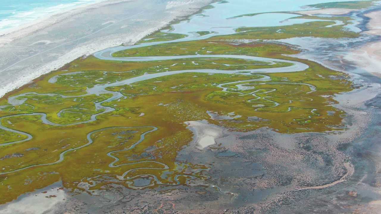 Overhead marsh channels curving through green vegetation and mudflat.