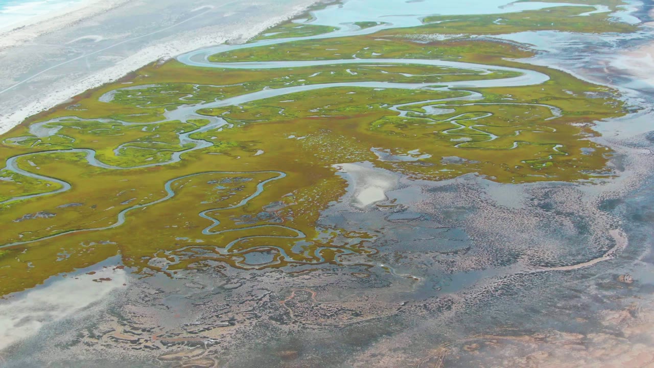 Green marshland divided by narrow blue water channels and muddy flats.