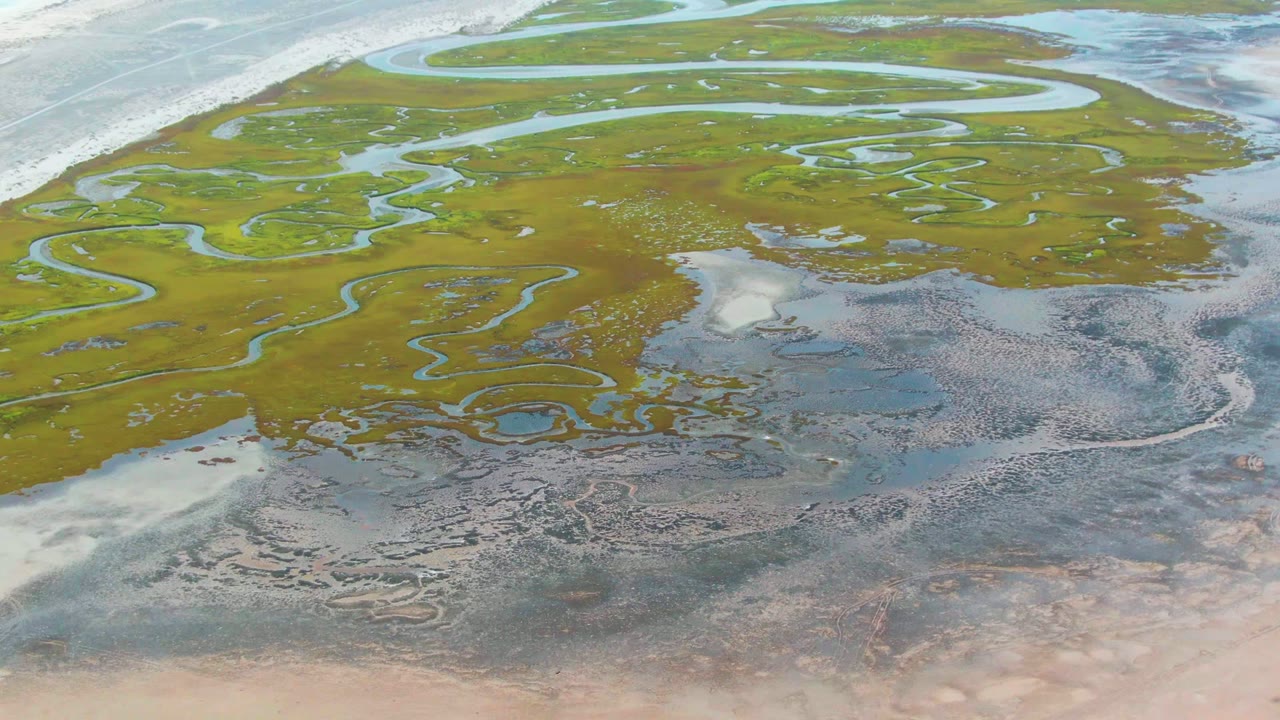Green marsh with winding blue channels beside exposed gray tidal flat.