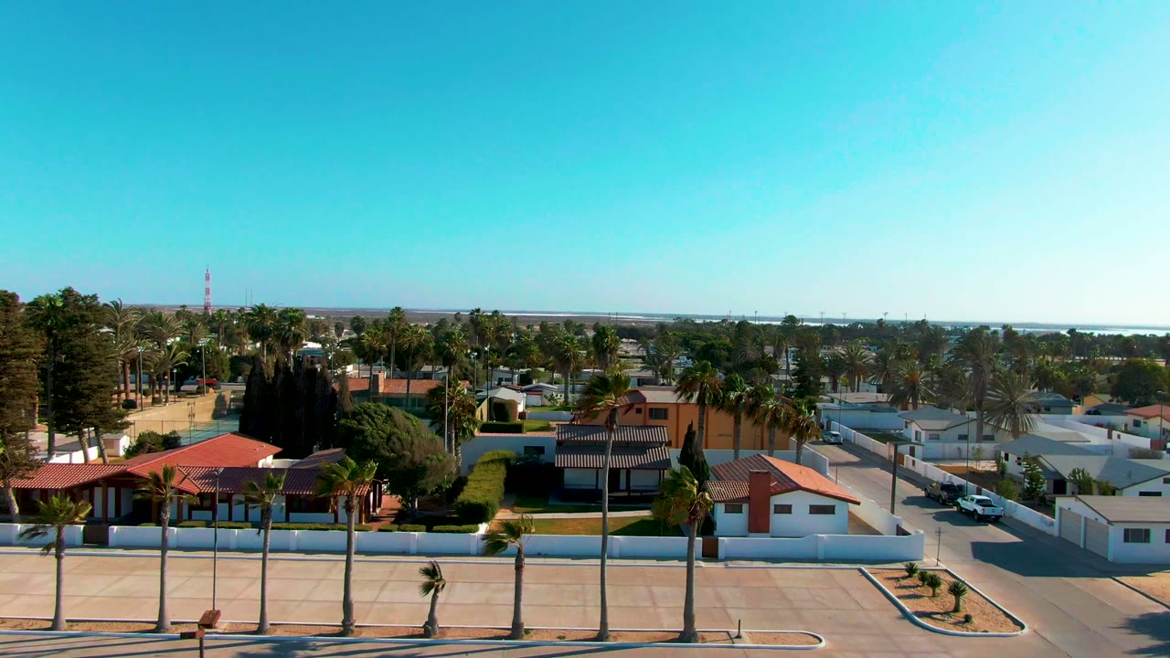 Elevated view of houses, palms, a side street, and a bright waterline in the distance.
