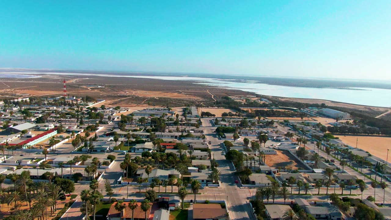 Wide aerial view of residential streets, palms, dry ground, and bright water in the distance.