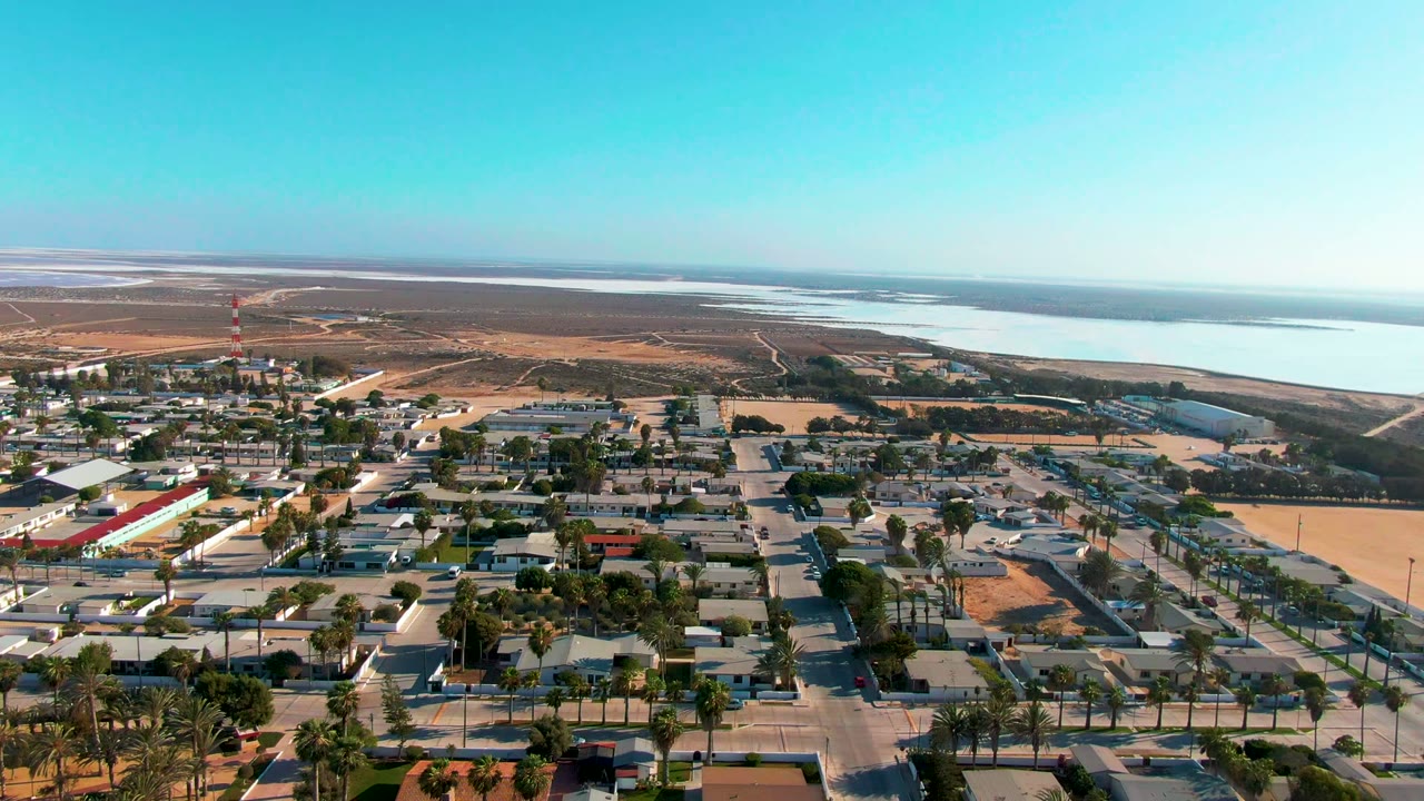 Guerrero Negro aerial frame with rooftops and palms filling the lower half, tan dry land and a communications tower beyond, bright water across the upper right, and no visible people.