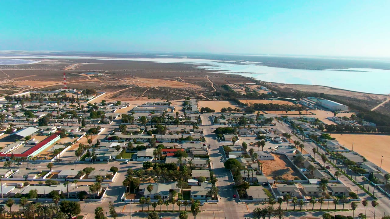 Early frame of Guerrero Negro, Baja California Sur, showing low residential blocks, palm-lined streets, dry open land, distant water, and no visible people.