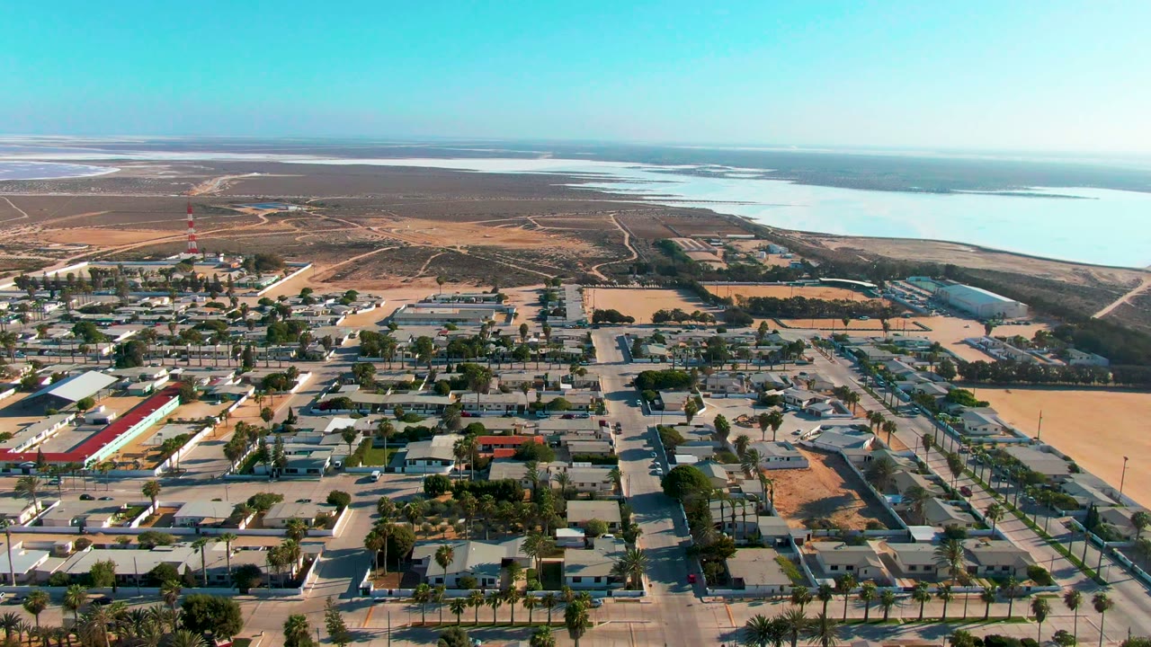 Drone view over homes, palms, streets, and distant water